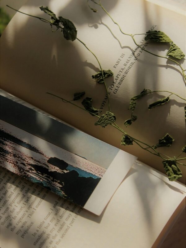 Social Media Campaign Planner